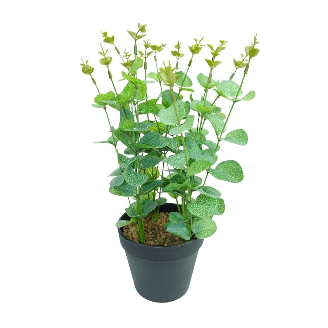 Eucalipt Artificial În Ghiveci – A12372 (2) Eucalipt Artificial În Ghiveci – A12372 (2)