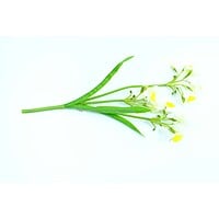 Floare Artificială Frezie – A80739 (2) Floare Artificială Frezie – A80739 (2)