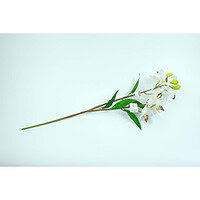 Floare Artificială Orhidee – A80796 (5) Floare Artificială Orhidee – A80796 (5)