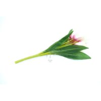 Floare Artificială Tip Lalea – A80601 (3) Floare Artificială Tip Lalea – A80601 (3)