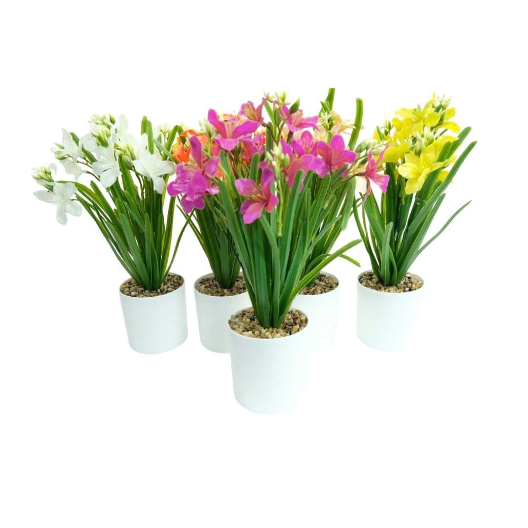 Frezie Artificială În Ghiveci – A80724