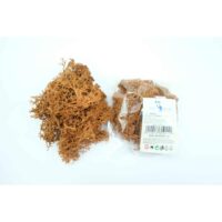 Licheni Naturali Stabilizati Pentru Decor Interior A80911 (6) Licheni Naturali Stabilizati Pentru Decor Interior A80911 (6)