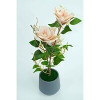 Magnolie Artificială În Ghiveci – A80769 (1) Magnolie Artificială În Ghiveci – A80769 (1)