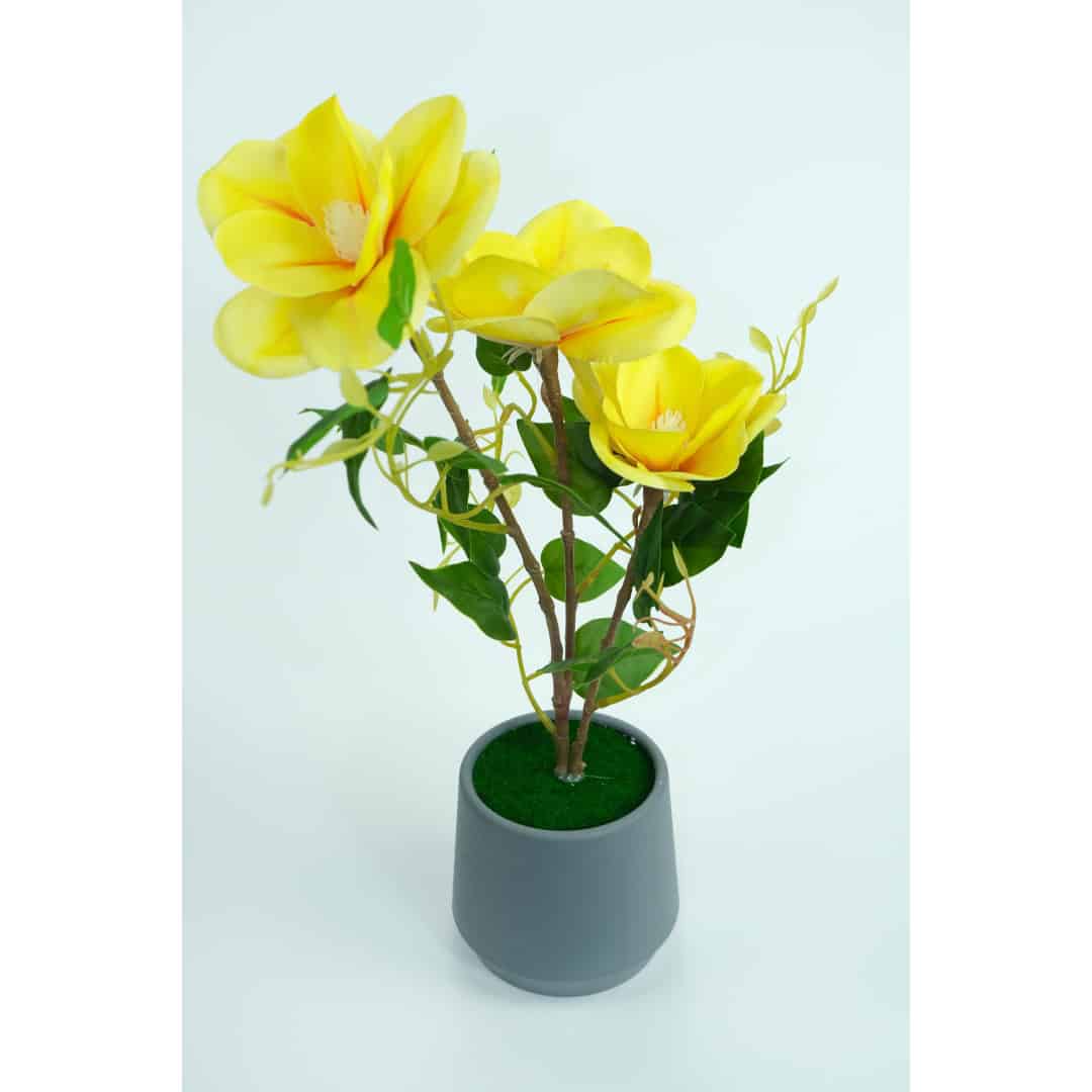 Magnolie Artificială În Ghiveci – A80769 (3) Magnolie Artificială În Ghiveci – A80769 (3)