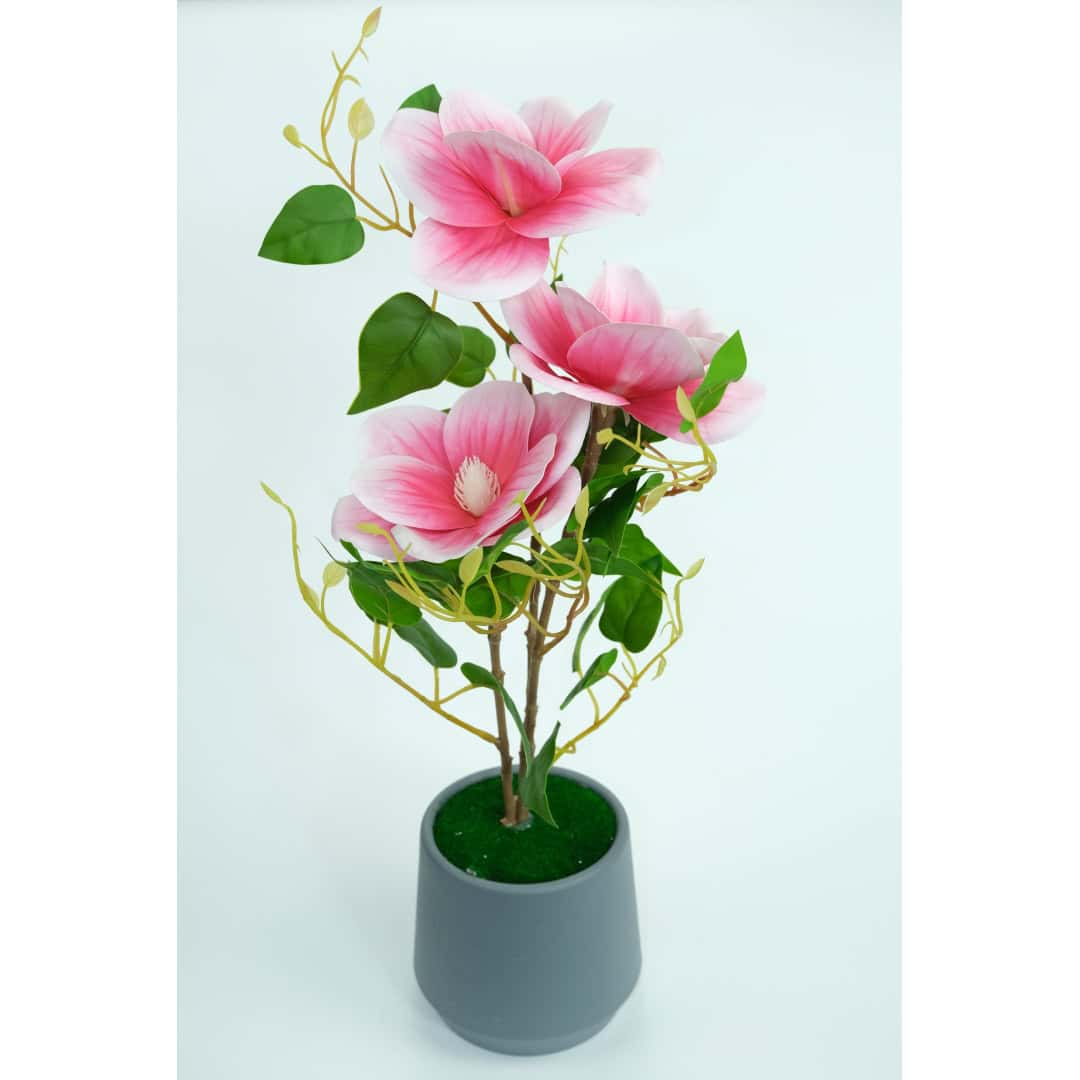 Magnolie Artificială În Ghiveci – A80769 (4) Magnolie Artificială În Ghiveci – A80769 (4)