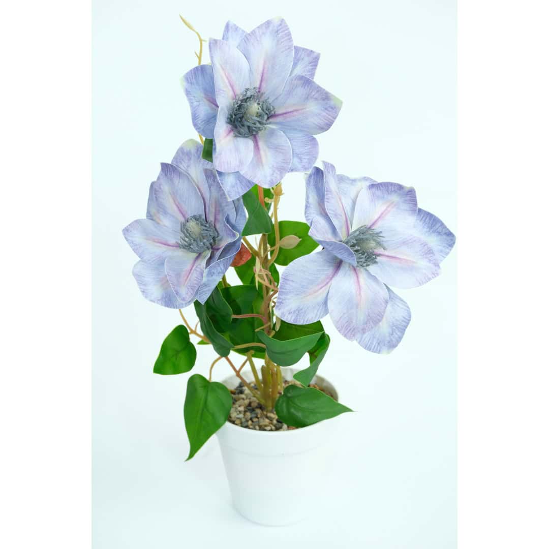Magnolie Artificială În Ghiveci – A80772 (2) Magnolie Artificială În Ghiveci – A80772 (2)