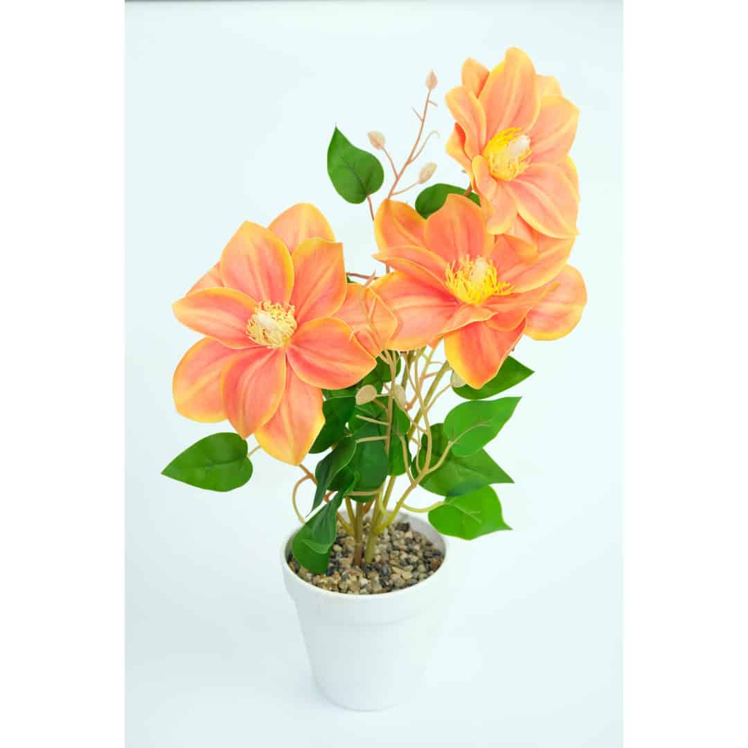 Magnolie Artificială În Ghiveci – A80772 (3) Magnolie Artificială În Ghiveci – A80772 (3)
