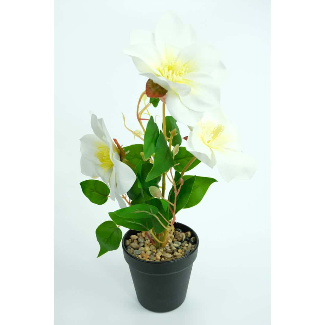 Magnolie Artificială În Ghiveci – A80772 (4) Magnolie Artificială În Ghiveci – A80772 (4)