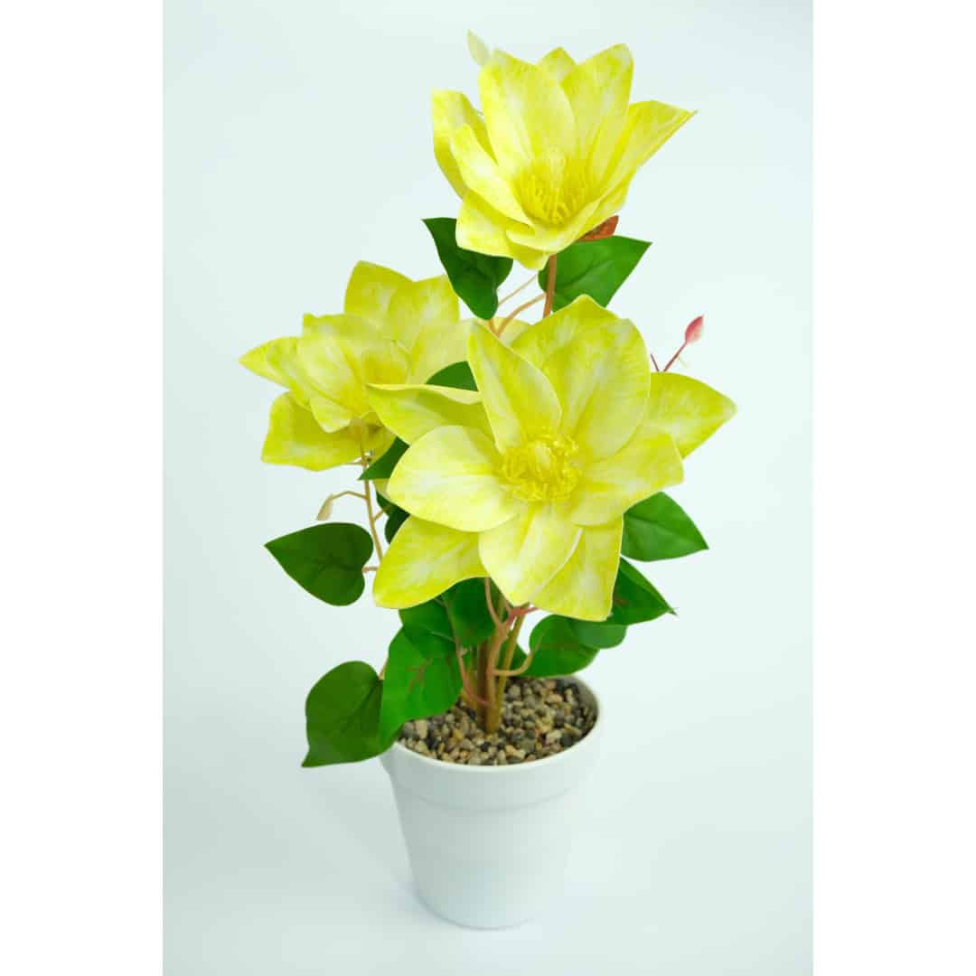 Magnolie Artificială În Ghiveci – A80772 (5) Magnolie Artificială În Ghiveci – A80772 (5)