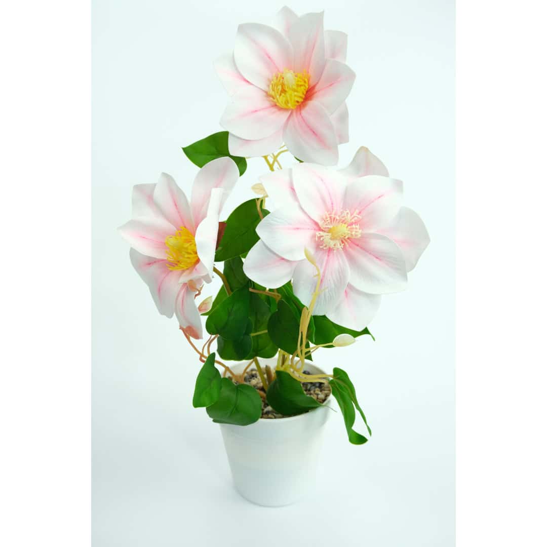 Magnolie Artificială În Ghiveci – A80772 (6) Magnolie Artificială În Ghiveci – A80772 (6)