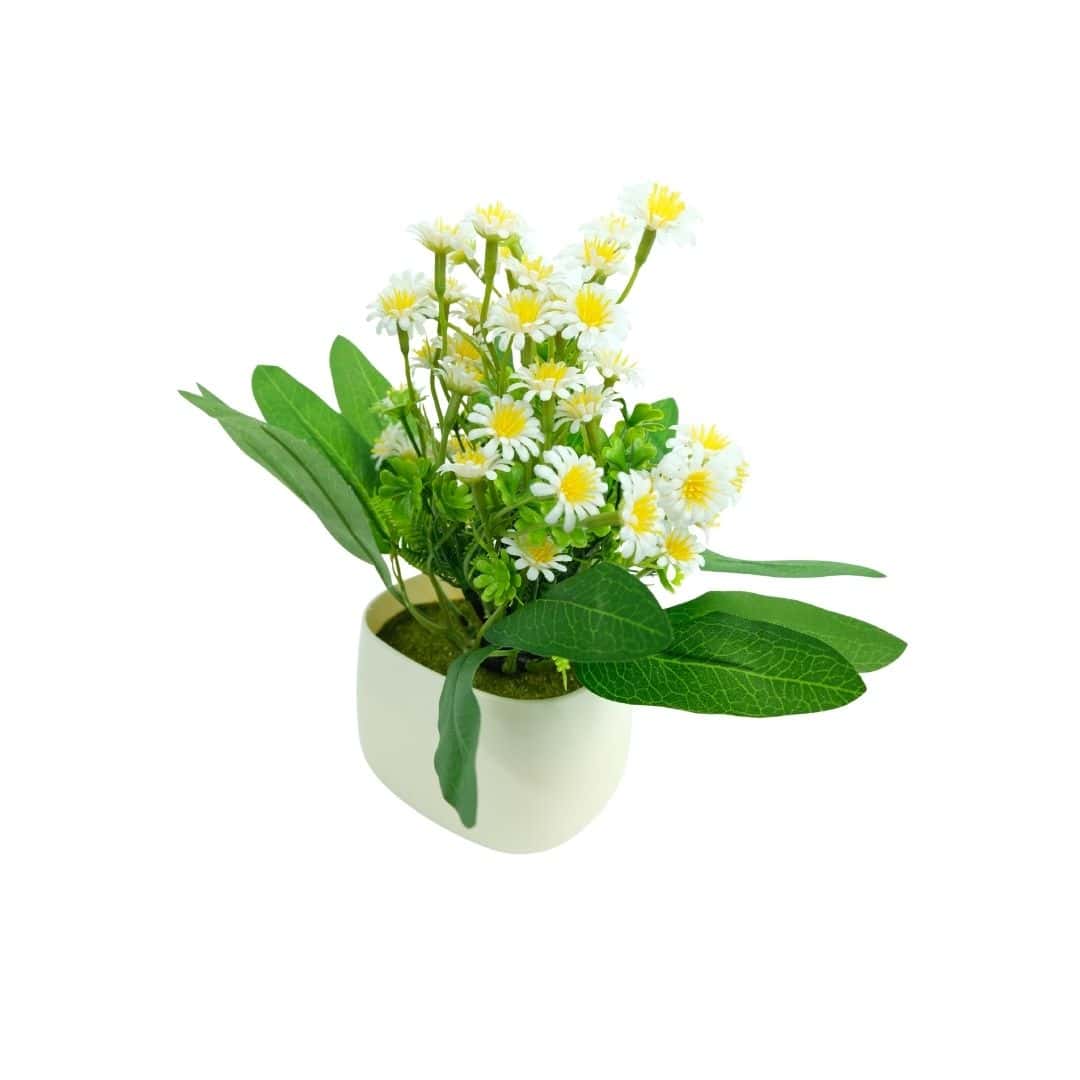 Margaretă Artificială În Ghiveci – A80727 (2) Margaretă Artificială În Ghiveci – A80727 (2)