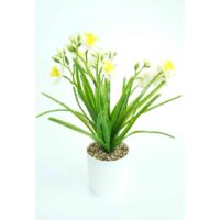 Narcisă Artificială În Ghiveci – A80636 (2) Narcisă Artificială În Ghiveci – A80636 (2)