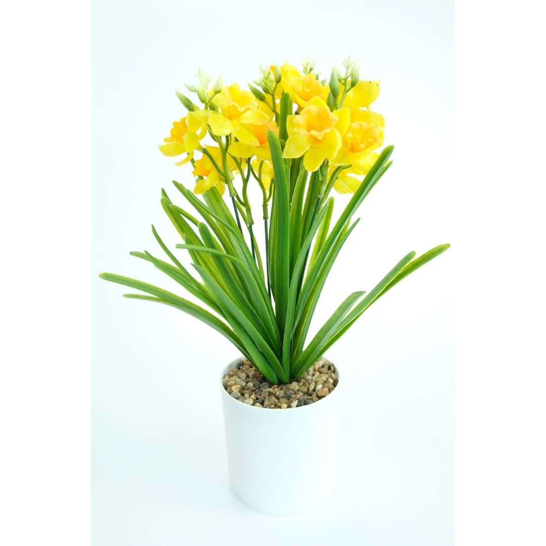 Narcisă Artificială În Ghiveci – A80636 Narcisă Artificială În Ghiveci – A80636