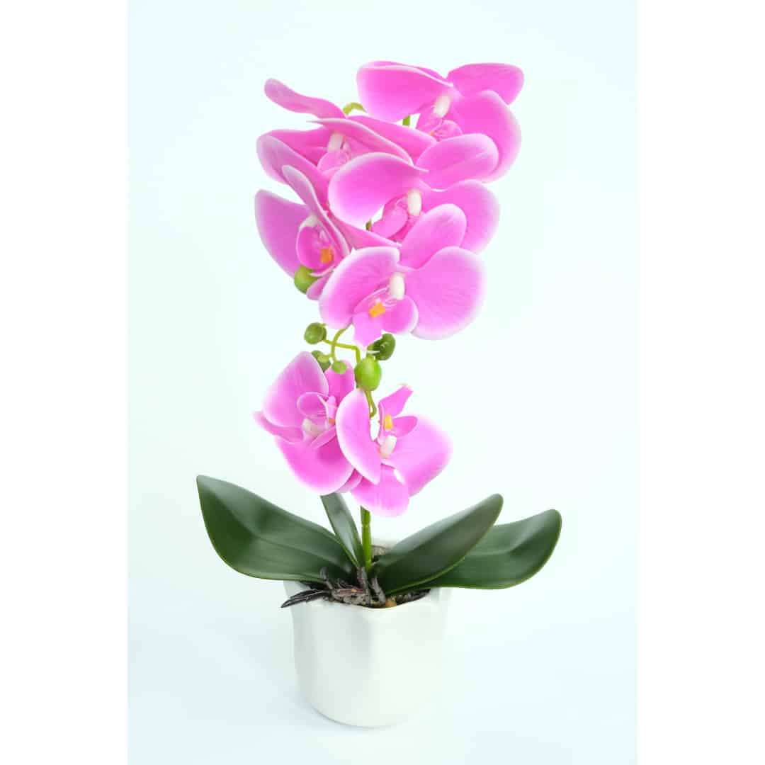Orhidee Artificială În Ghiveci – A80417 (3) Orhidee Artificială În Ghiveci – A80417 (3)