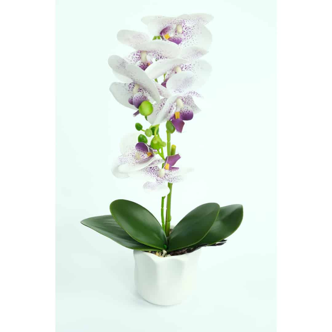 Orhidee Artificială În Ghiveci – A80417 (9) Orhidee Artificială În Ghiveci – A80417 (9)