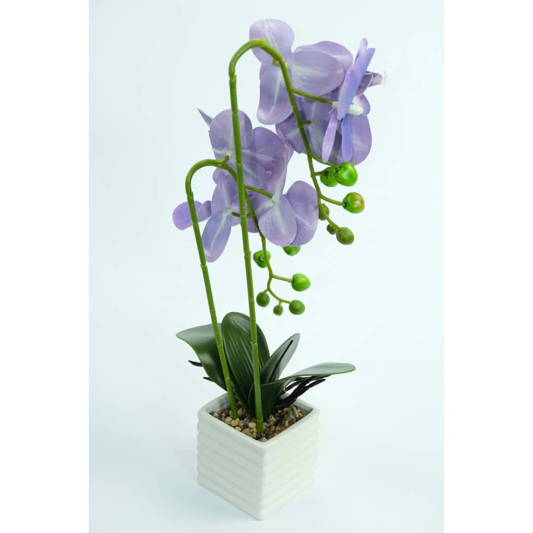 Orhidee Artificială În Ghiveci – A80372 (6) Orhidee Artificială În Ghiveci – A80372 (6)