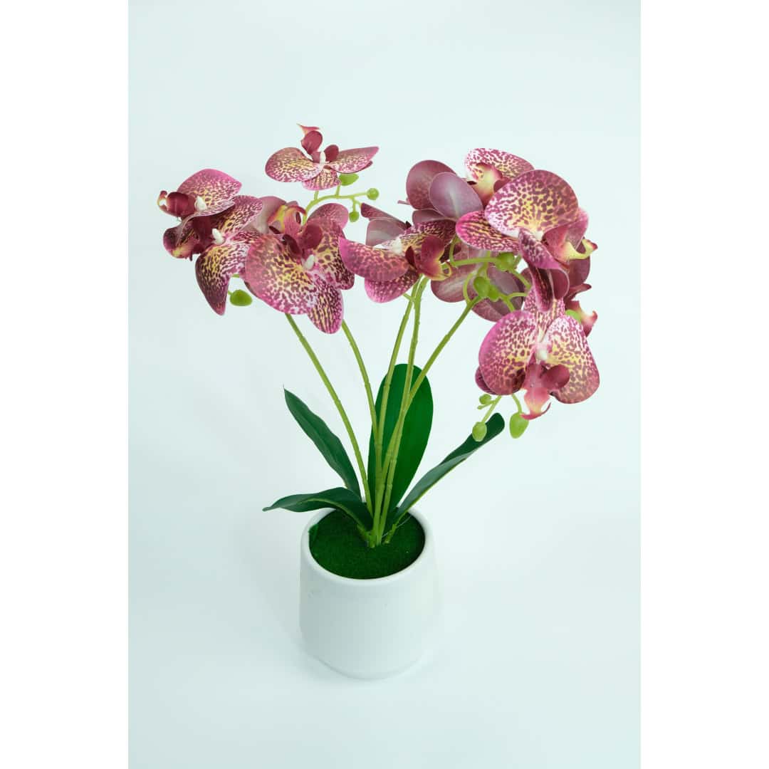 Orhidee Artificială În Ghiveci – A80778 (1) Orhidee Artificială În Ghiveci – A80778 (1)