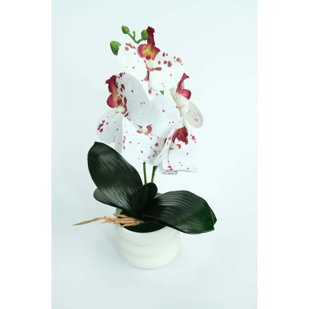 Orhidee Artificială În Ghiveci – A80780 (2) Orhidee Artificială În Ghiveci – A80780 (2)
