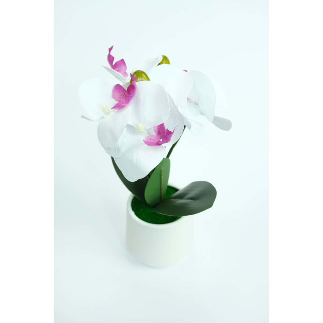 Orhidee Artificială În Ghiveci – A80782 (1) Orhidee Artificială În Ghiveci – A80782 (1)