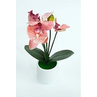 Orhidee Artificială În Ghiveci – A80782 (7) Orhidee Artificială În Ghiveci – A80782 (7)