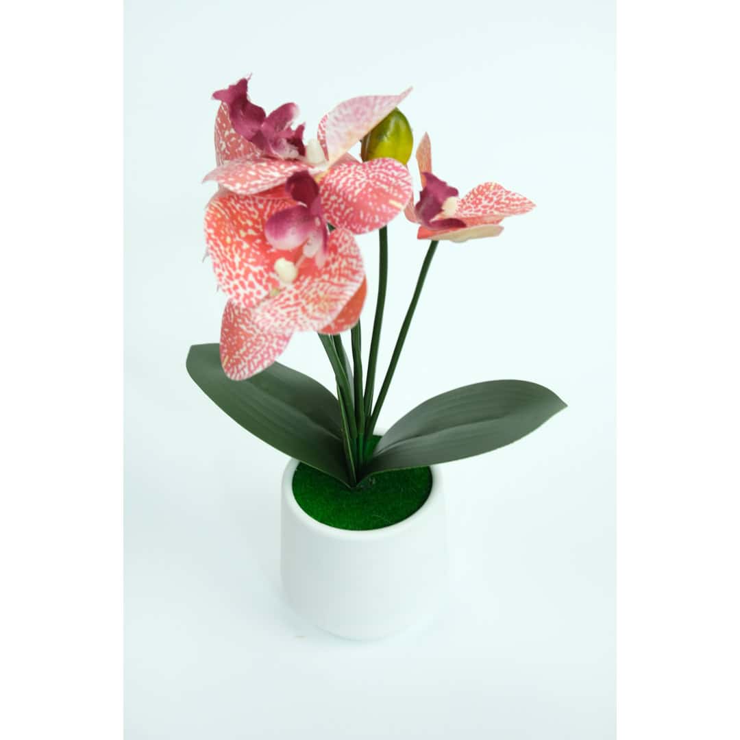 Orhidee Artificială În Ghiveci – A80782 (7) Orhidee Artificială În Ghiveci – A80782 (7)