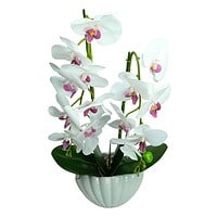 Orhidee Artificiala in Ghiveci – A80885 Orhidee Artificiala in Ghiveci – A80885 - Roz