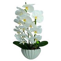 Orhidee Artificiala in Ghiveci – A80885 (3) Orhidee Artificiala in Ghiveci – A80885 - Roz