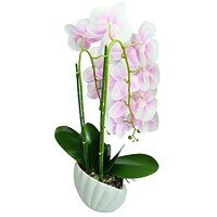 Orhidee Artificiala in Ghiveci – A80885 (8) Orhidee Artificiala in Ghiveci – A80885 - Roz
