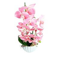 Orhidee Artificiala in Ghiveci – A80885 (9) Orhidee Artificiala in Ghiveci – A80885 - Roz