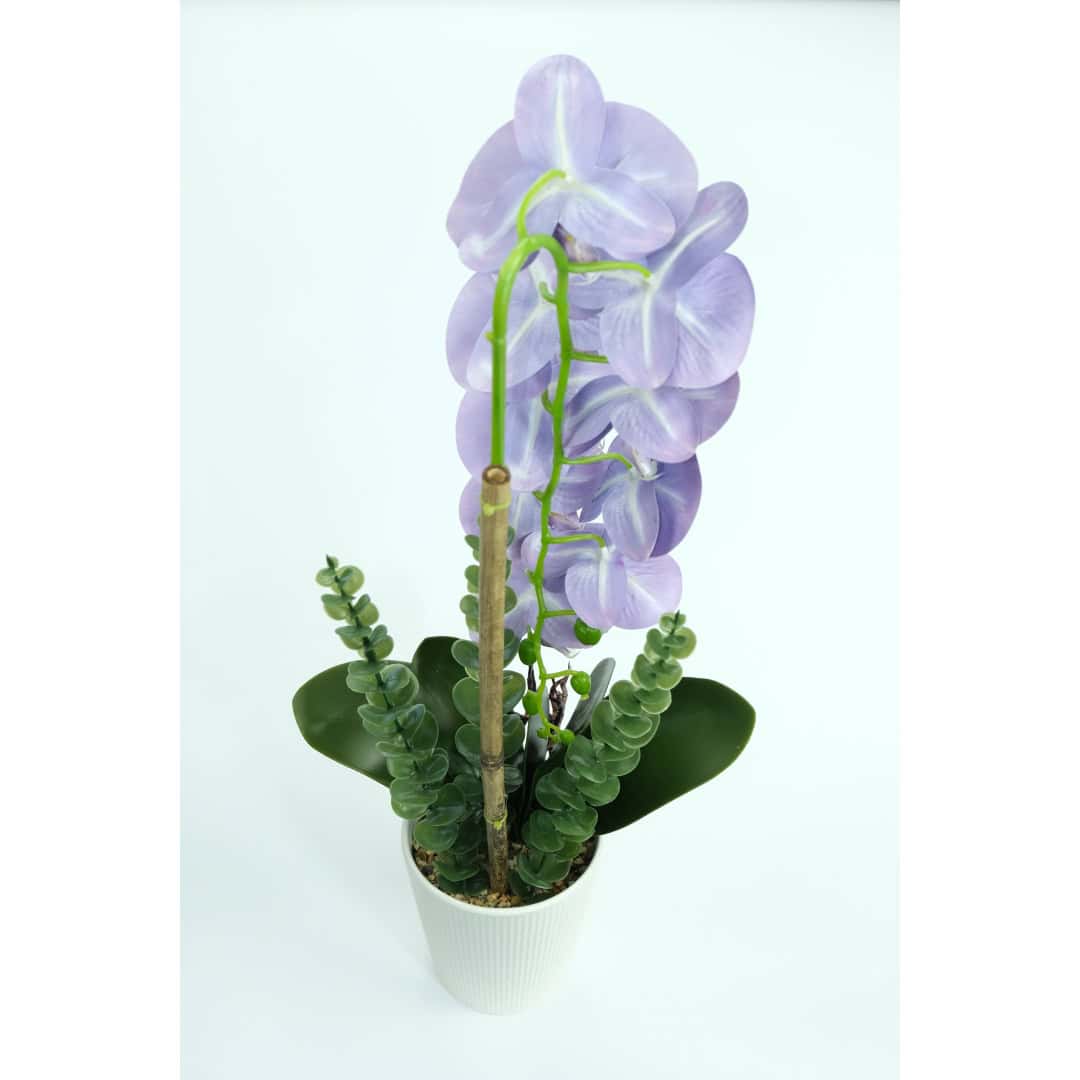 Orhidee Artificiale În Ghiveci – A80458 (11) Orhidee Artificiale În Ghiveci – A80458 (11)