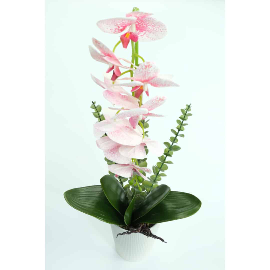 Orhidee Artificiale În Ghiveci – A80458 (12) Orhidee Artificiale În Ghiveci – A80458 (12)