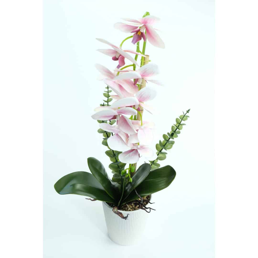 Orhidee Artificiale În Ghiveci – A80458 (2) Orhidee Artificiale În Ghiveci – A80458 (2)