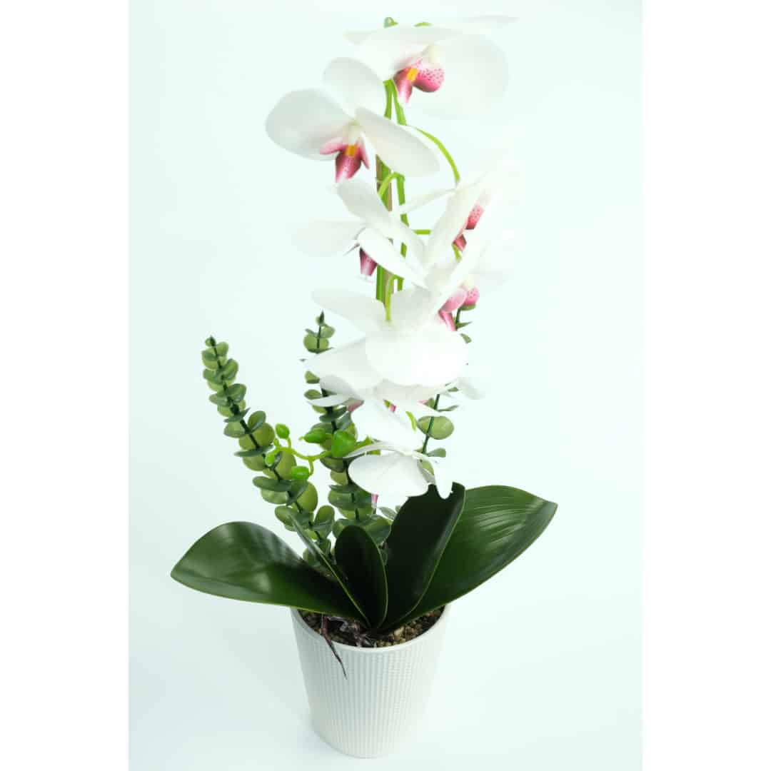 Orhidee Artificiale În Ghiveci – A80458 (8) Orhidee Artificiale În Ghiveci – A80458 (8)