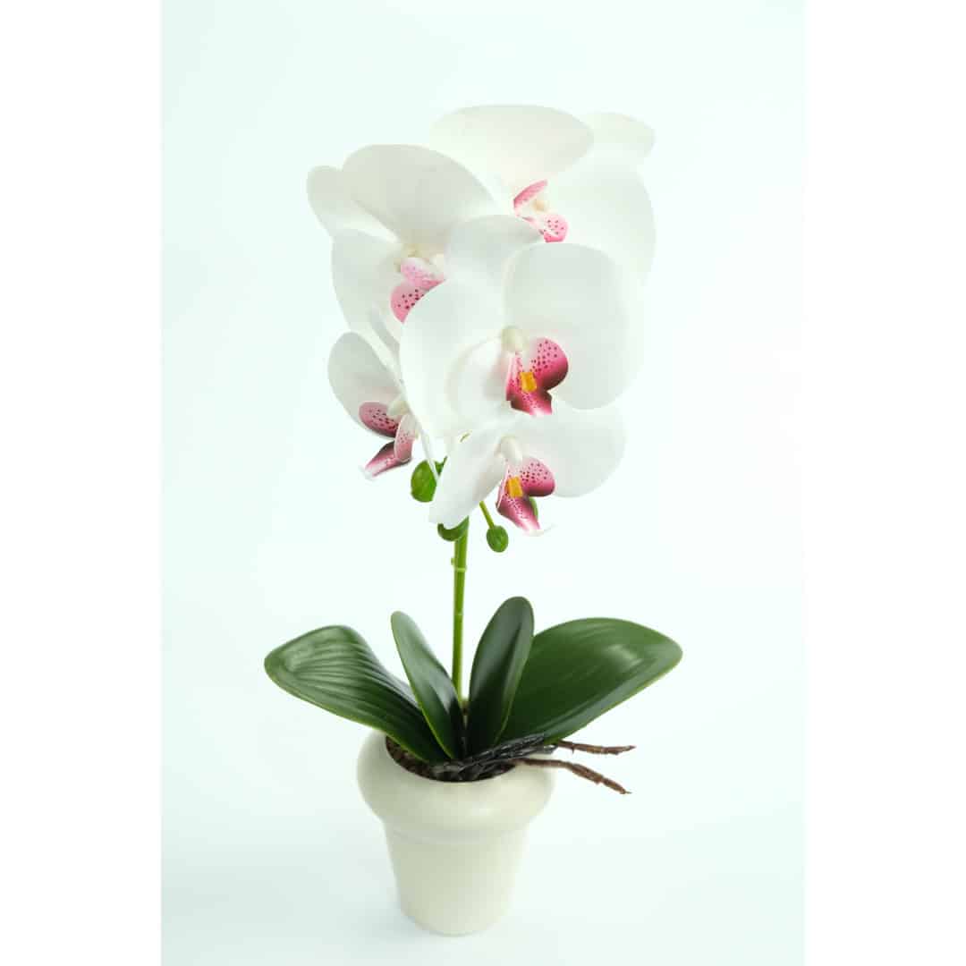 Orhidee Artificiale În Ghiveci – A80640 (3) Orhidee Artificiale În Ghiveci – A80640 (3)