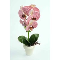 Orhidee Artificiale În Ghiveci – A80640 (5) Orhidee Artificiale În Ghiveci – A80640 (5)