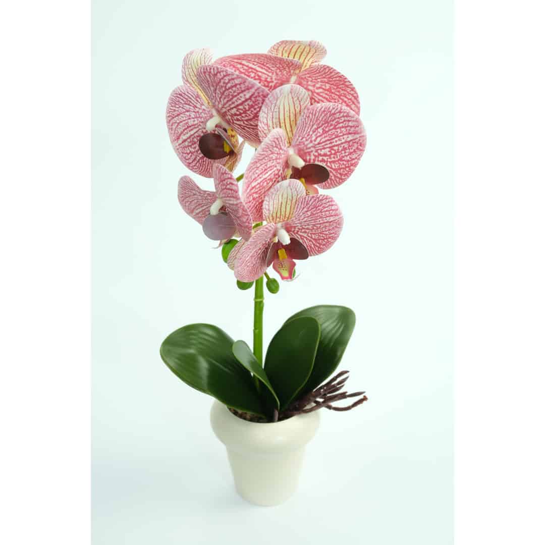 Orhidee Artificiale În Ghiveci – A80640 (5) Orhidee Artificiale În Ghiveci – A80640 (5)