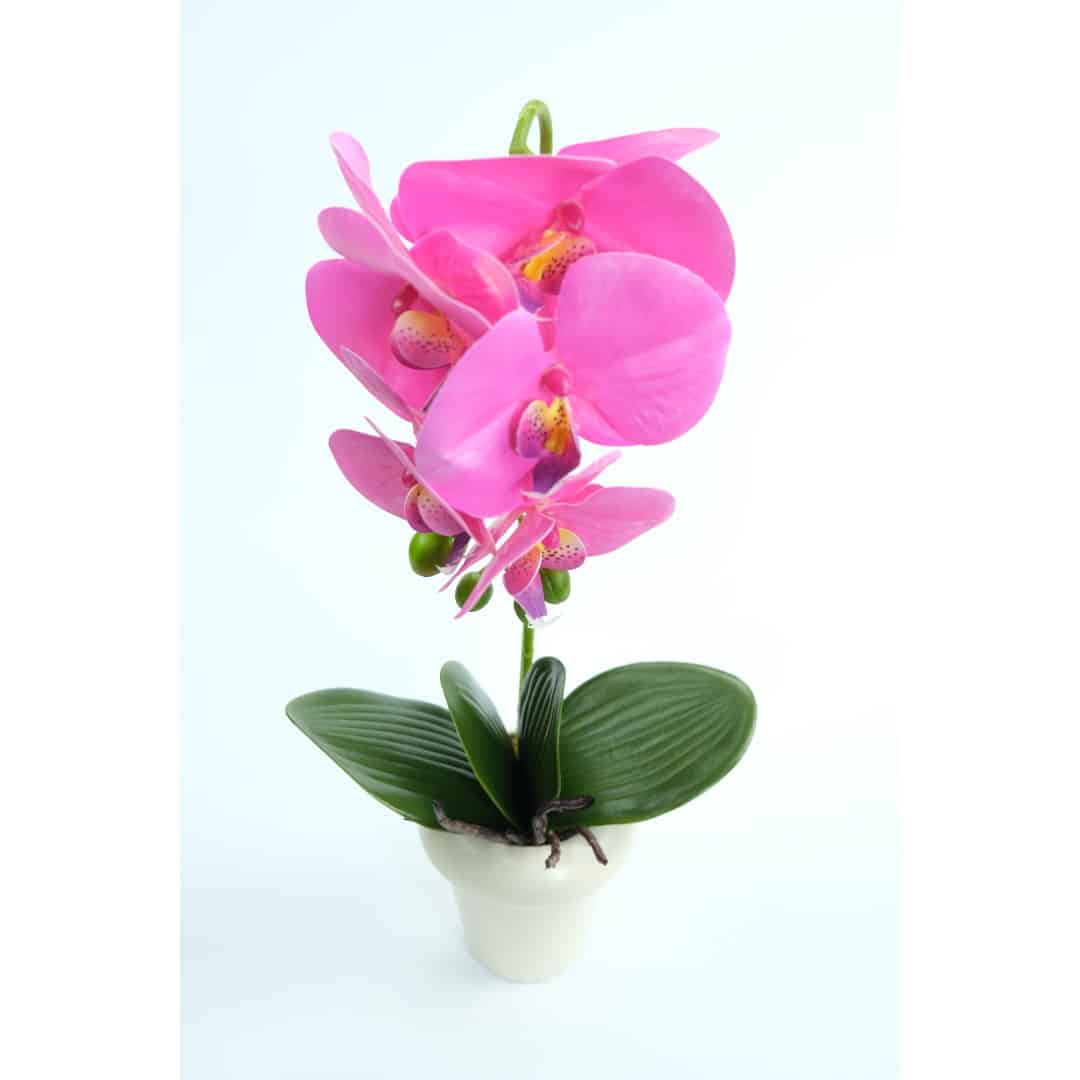 Orhidee Artificiale În Ghiveci – A80640 Orhidee Artificiale În Ghiveci – A80640