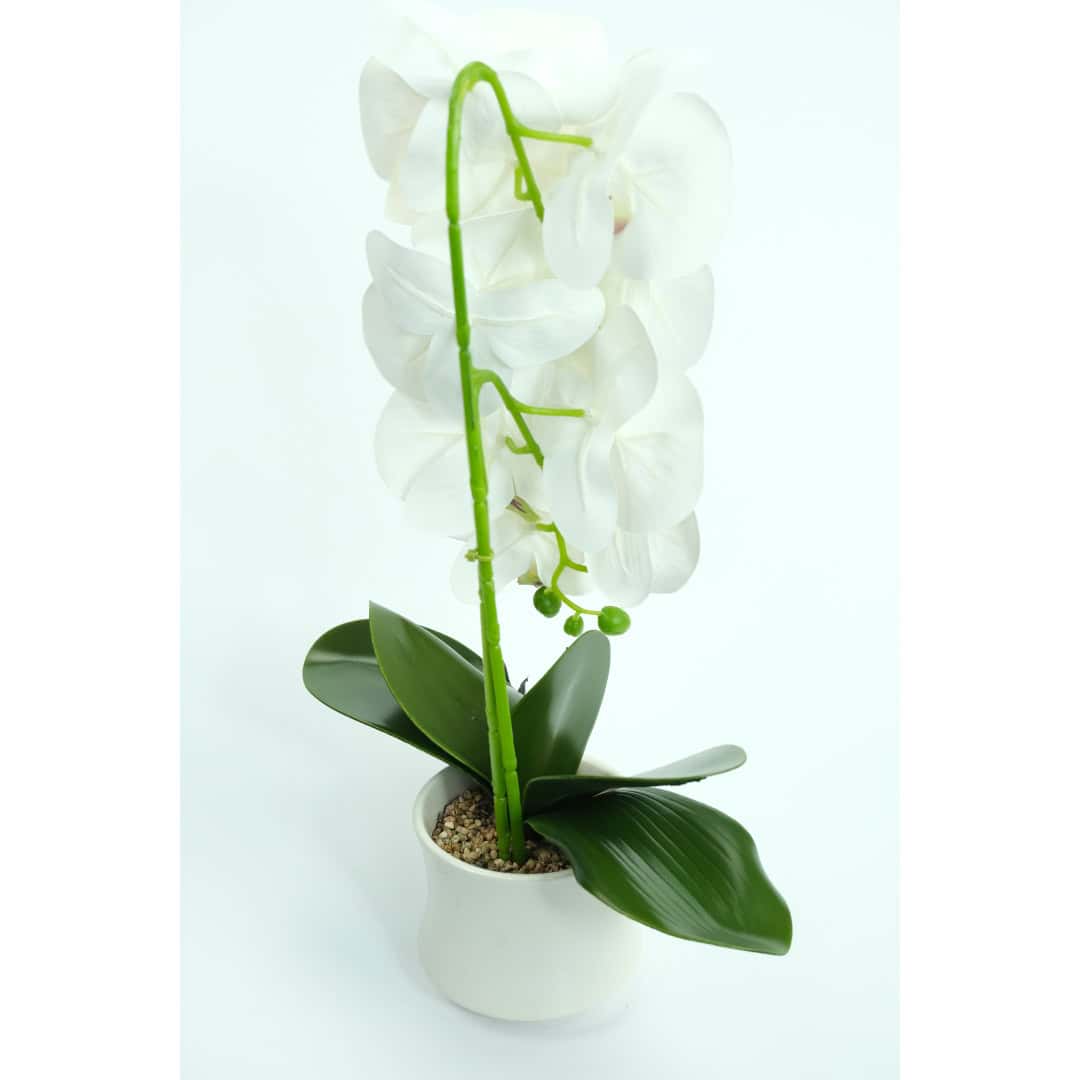 Orhidee Artificiale În Ghiveci – A80641 (1) Orhidee Artificiale În Ghiveci – A80641 (1)