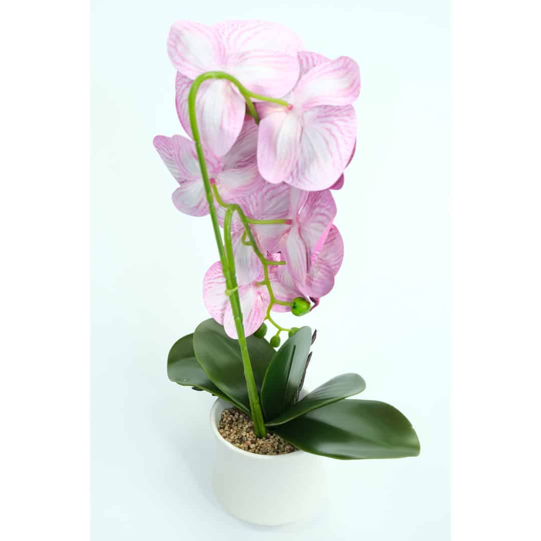 Orhidee Artificiale În Ghiveci – A80641 (10) Orhidee Artificiale În Ghiveci – A80641 (10)