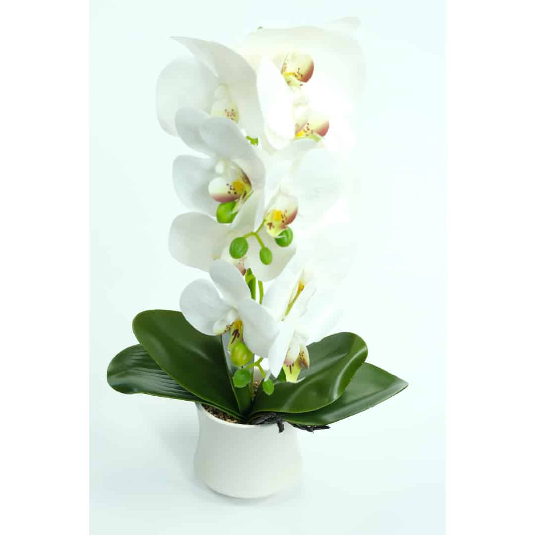 Orhidee Artificiale În Ghiveci – A80641 (11) Orhidee Artificiale În Ghiveci – A80641 (11)
