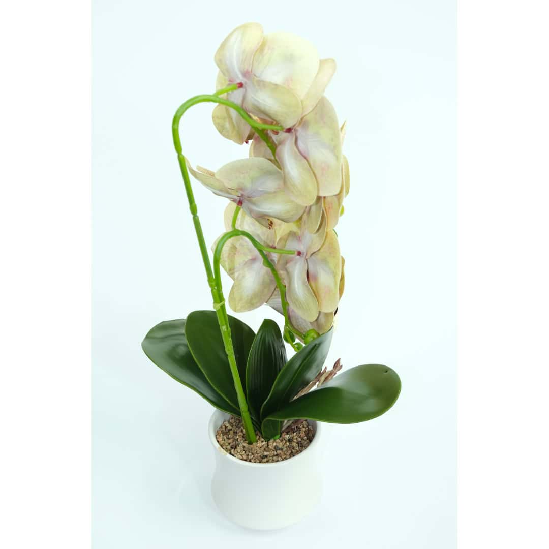 Orhidee Artificiale În Ghiveci – A80641 (2) Orhidee Artificiale În Ghiveci – A80641 (2)