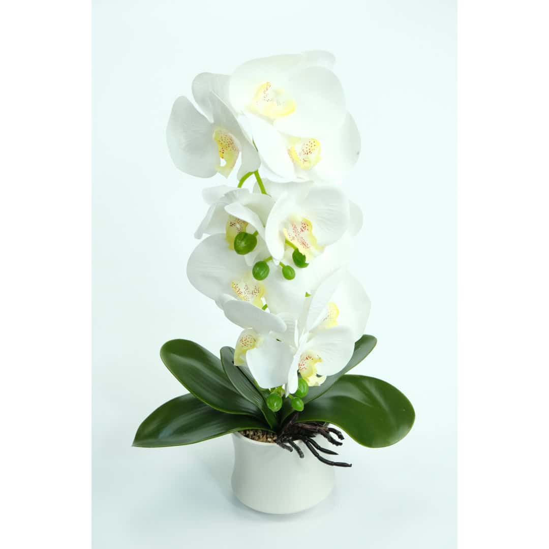 Orhidee Artificiale În Ghiveci – A80641 (3) Orhidee Artificiale În Ghiveci – A80641 (3)