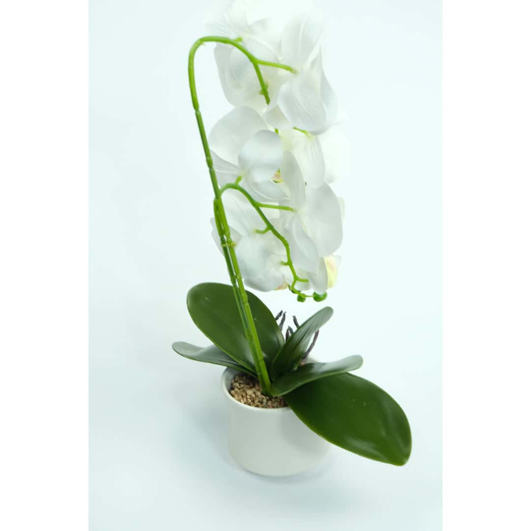 Orhidee Artificiale În Ghiveci – A80641 (4) Orhidee Artificiale În Ghiveci – A80641 (4)