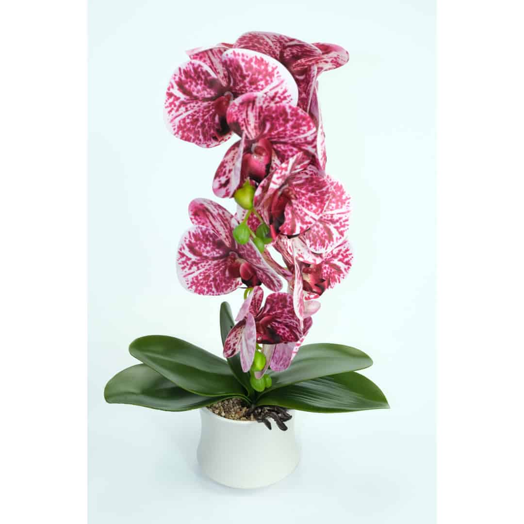 Orhidee Artificiale În Ghiveci – A80641 (5) Orhidee Artificiale În Ghiveci – A80641 (5)