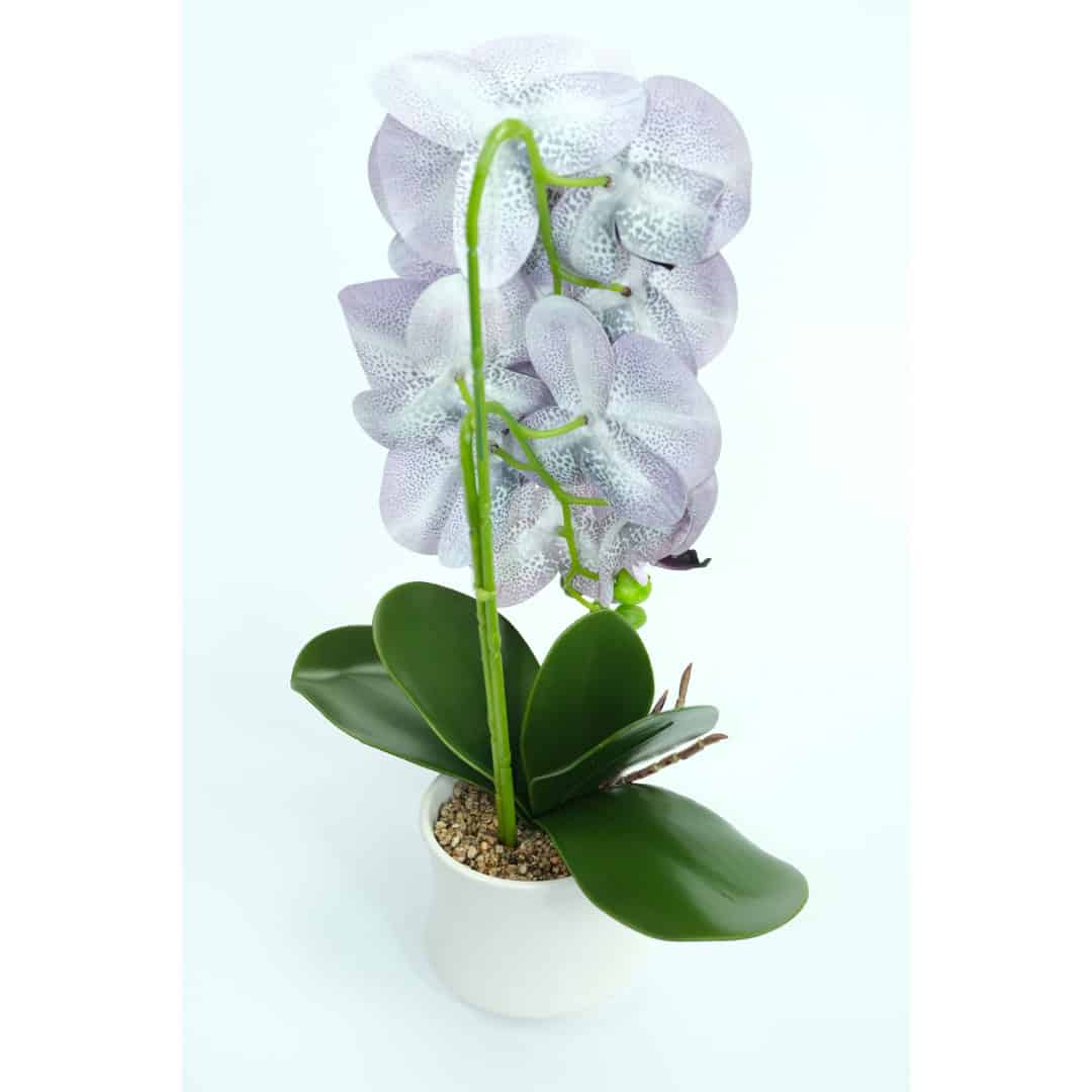 Orhidee Artificiale În Ghiveci – A80641 (8) Orhidee Artificiale În Ghiveci – A80641 (8)