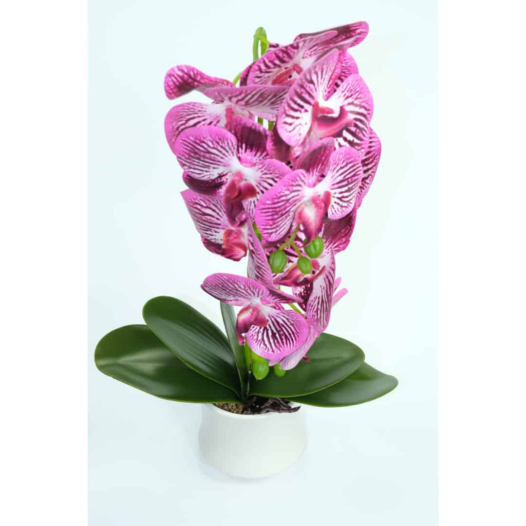 Orhidee Artificiale În Ghiveci – A80641 (9) Orhidee Artificiale În Ghiveci – A80641 (9)