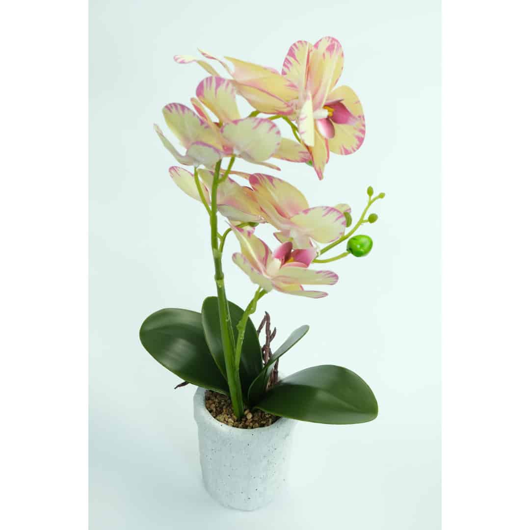 Orhidee Artificiale În Ghiveci – A80642 (1) Orhidee Artificiale În Ghiveci – A80642 (1)