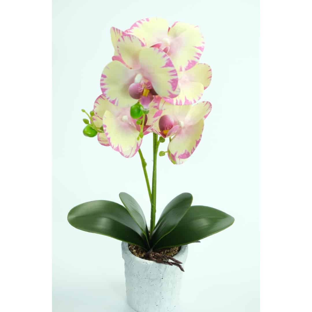 Orhidee Artificiale În Ghiveci – A80642 (10) Orhidee Artificiale În Ghiveci – A80642 (10)