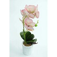 Orhidee Artificiale În Ghiveci – A80642 (3) Orhidee Artificiale În Ghiveci – A80642 (3)