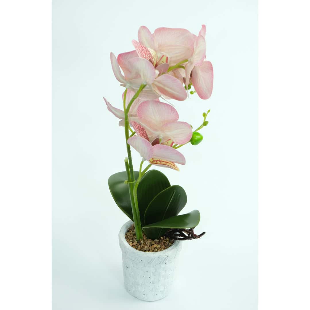 Orhidee Artificiale În Ghiveci – A80642 (3) Orhidee Artificiale În Ghiveci – A80642 (3)